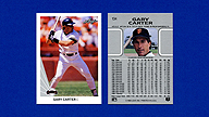 1990 Leaf #134 Gary CARTER