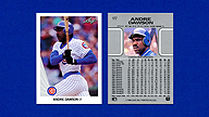 1990 Leaf #177 Andre DAWSON