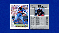 1990 Leaf #212 Tim RAINES