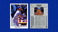 1990 Leaf #71 Robin YOUNT