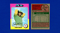 1975 Topps #510 Vida BLUE