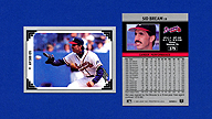 1991 Leaf #379 Sid BREAM Series 2