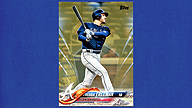 2018 Topps #510 Freddie FREEMAN Series 2 Gold Parallel [0692/2018]