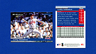 2004 Donruss #228 Greg MADDUX