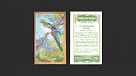 1926 Cavanders Foreign Birds #16 Golden-Headed Quezal