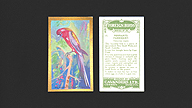 1926 Cavanders Foreign Birds #17 Pennants Parroquet