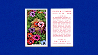 1938 Gallaher Garden Flowers #26 Aneomones