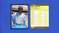 1986 Fleer #516 Terry HARPER