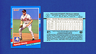 1991 Donruss #244 Tommy GREGG