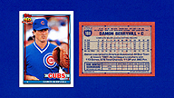 1991 Topps #188 Damon BERRYHILL [Cubs]