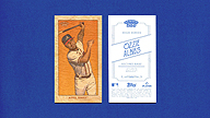 2023 Topps 206 [#] Ozzie ALBIES Wood [/20]